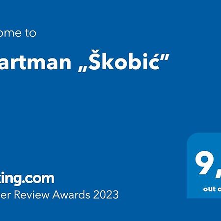 Apartman „Skobic” Βίσεγκραντ Εξωτερικό φωτογραφία